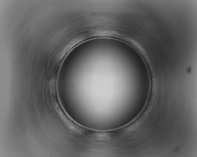 X0000112891041200908281655
