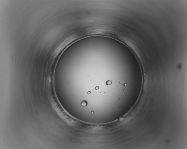 X0000112891042200908281655