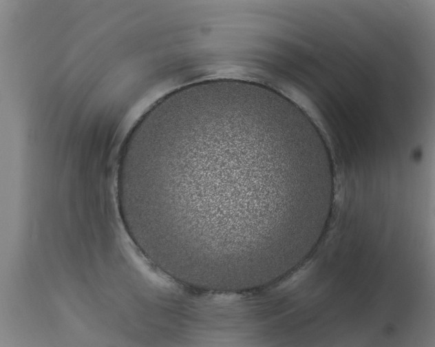 X0000112891043200908281656