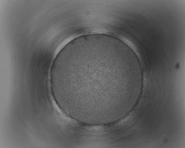 X0000112891047200908281656