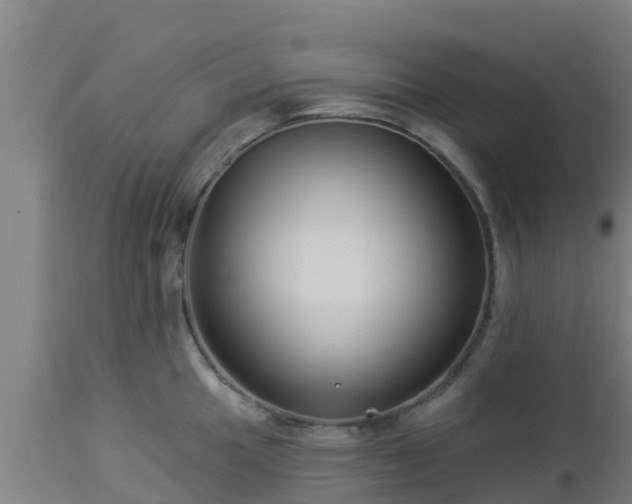X0000112891049200908281656
