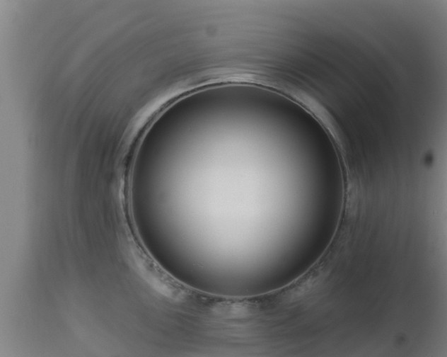 X0000112891051200908281656
