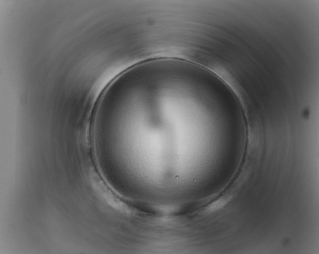 X0000112891052200908281656