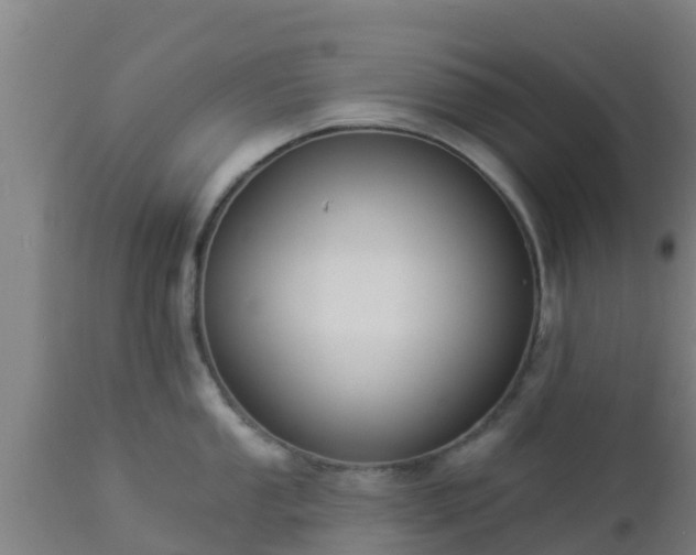 X0000112891053200908281656