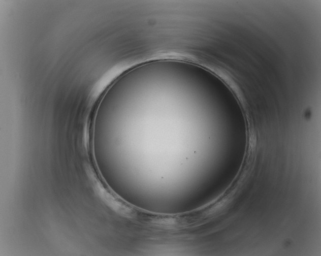 X0000112891054200908281656