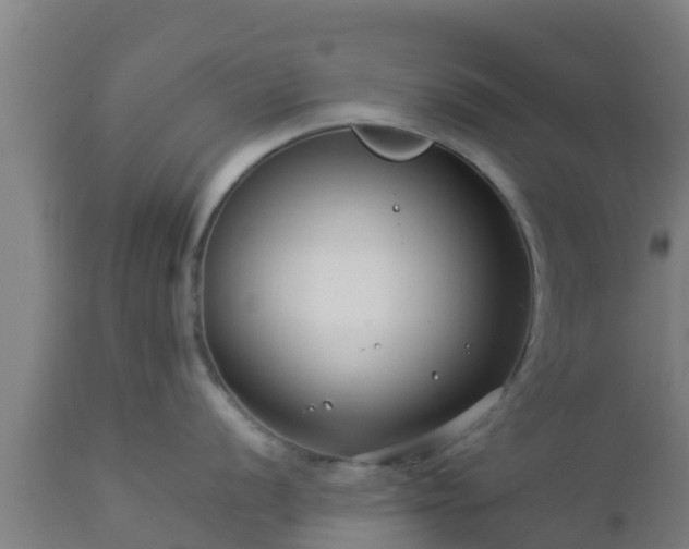 X0000112891056200908281656