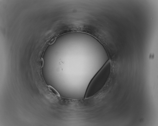 X0000112891057200908281655
