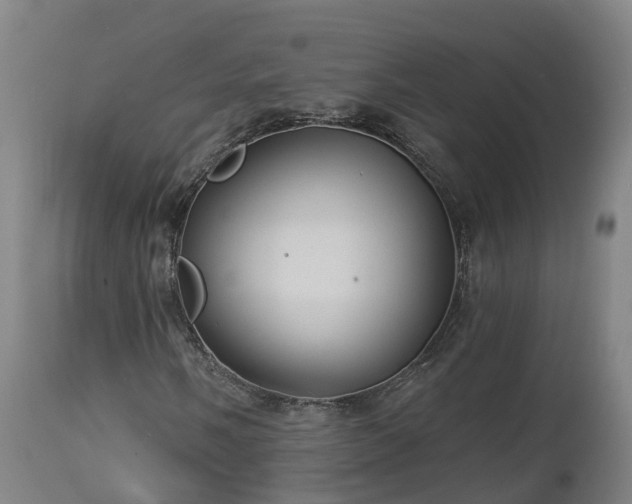 X0000112891058200908281655