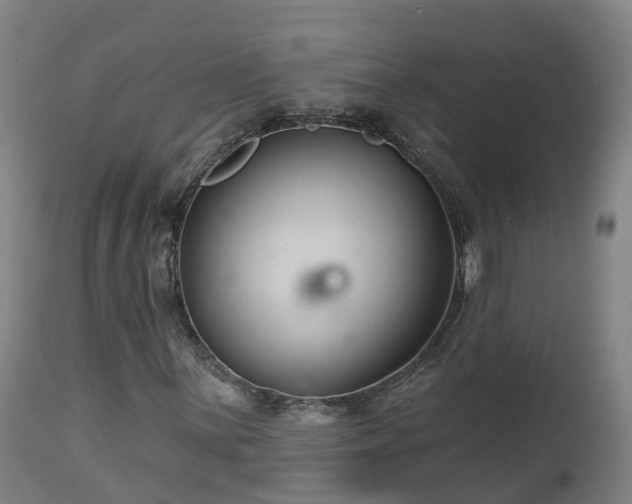 X0000112891059200908281655