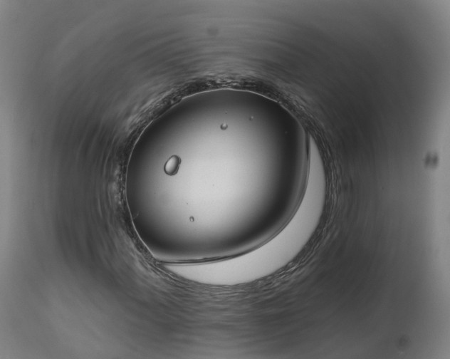 X0000112891060200908281655