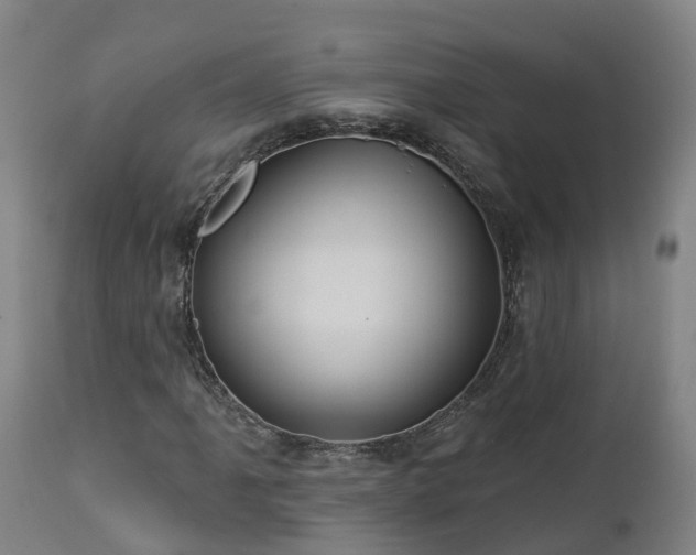 X0000112891061200908281655