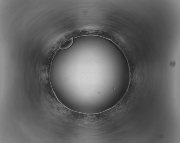 X0000112891062200908281655