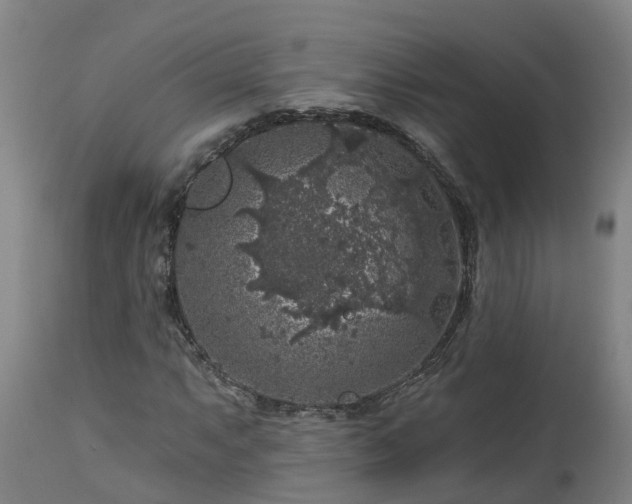 X0000112891063200908281655