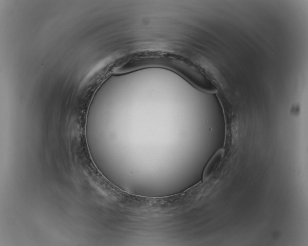 X0000112891064200908281655