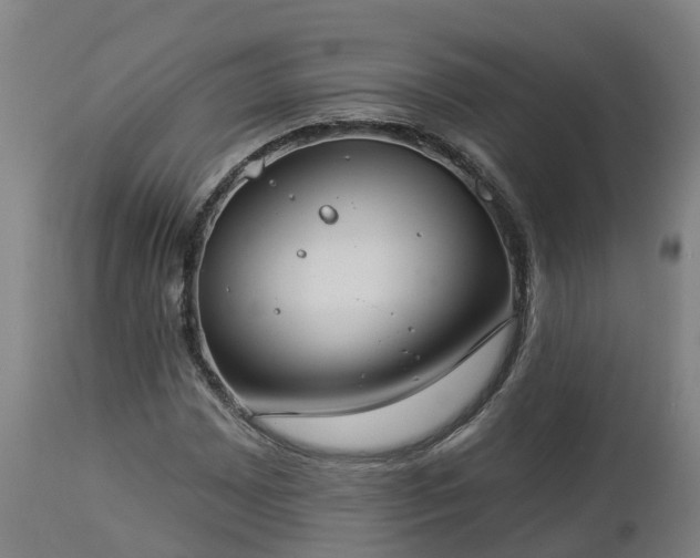 X0000112891065200908281655