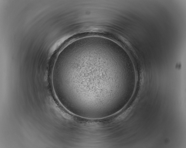 X0000112891066200908281655