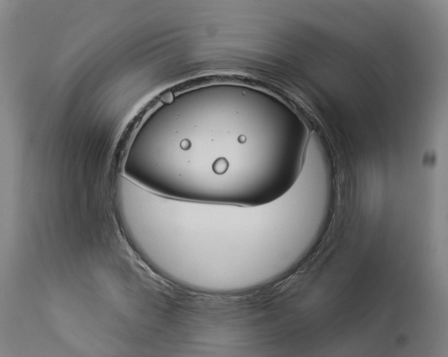 X0000112891068200908281655