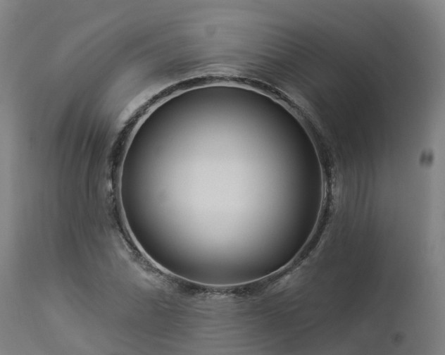 X0000112891070200908281655