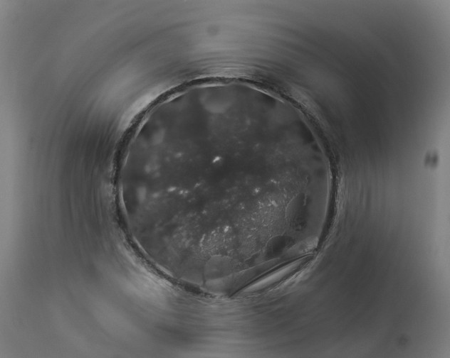 X0000112891071200908281655
