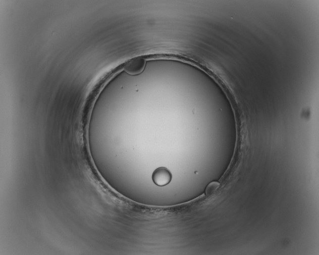 X0000112891072200908281655