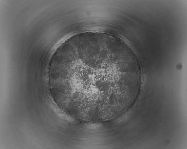 X0000112891074200908281655
