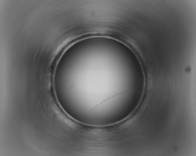 X0000112891075200908281655