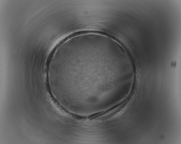 X0000112891077200908281655