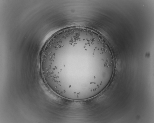 X0000112891078200908281655
