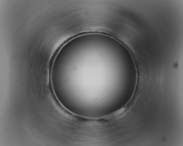 X0000112891079200908281655