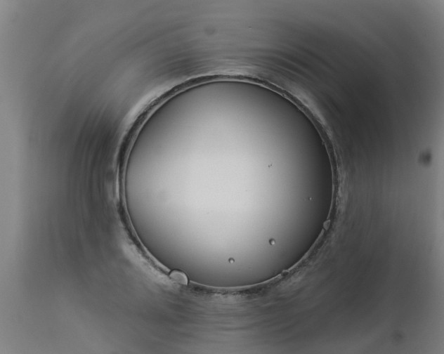 X0000112891080200908281655