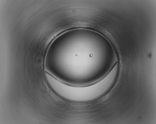 X0000112891081200908281655