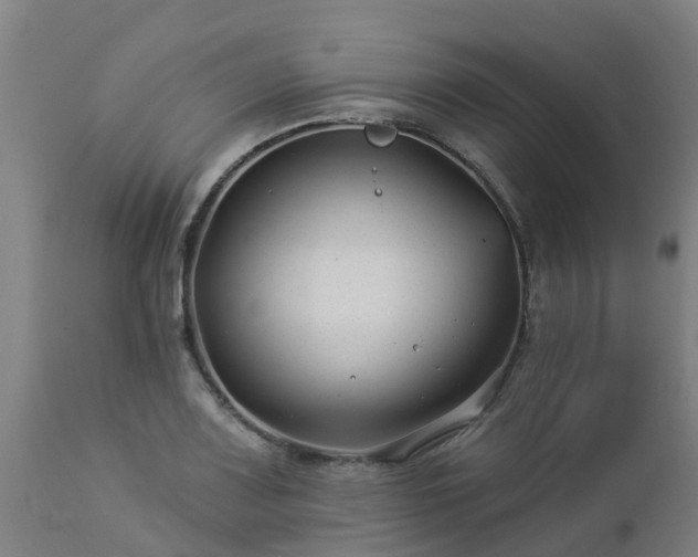 X0000112891083200908281655