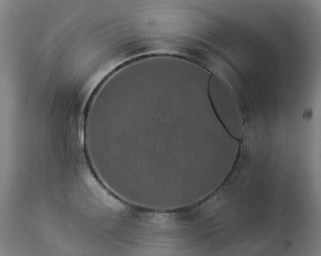 X0000112891084200908281655