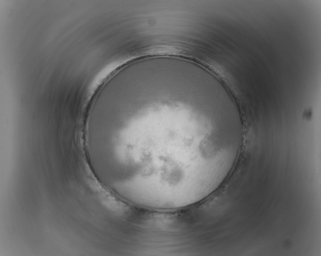 X0000112891086200908281655