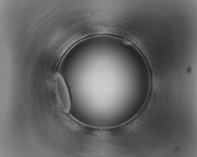 X0000112891089200908281655