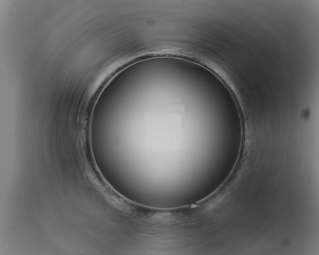 X0000112891093200908281655