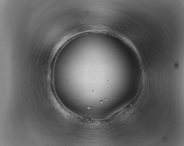 X0000112891099200908281654