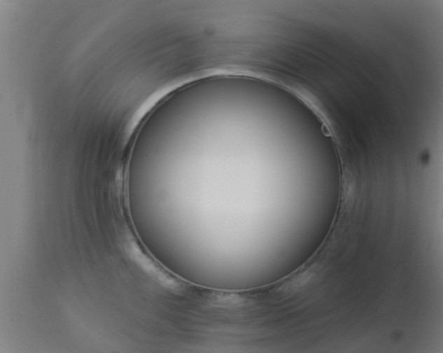 X0000112891100200908281654