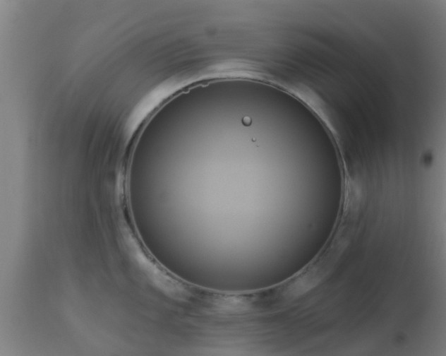 X0000112891101200908281654