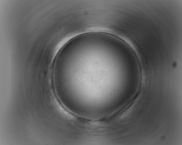X0000112891102200908281654