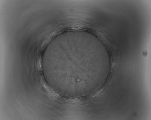 X0000112891106200908281654