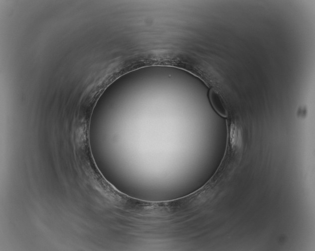 X0000112891107200908281654