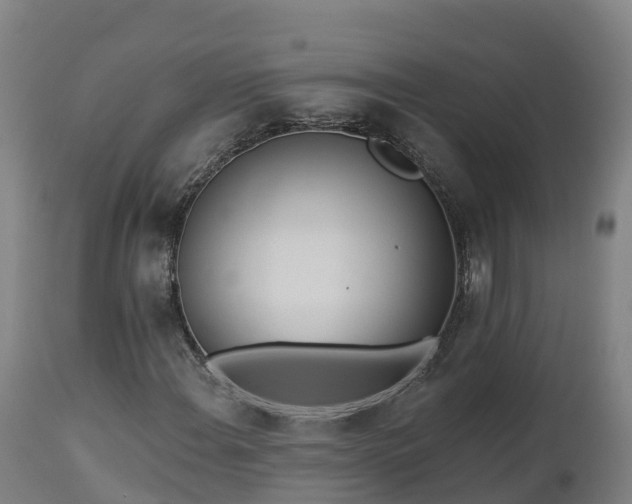 X0000112891108200908281654