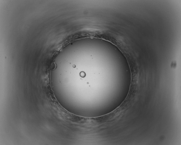 X0000112891109200908281654
