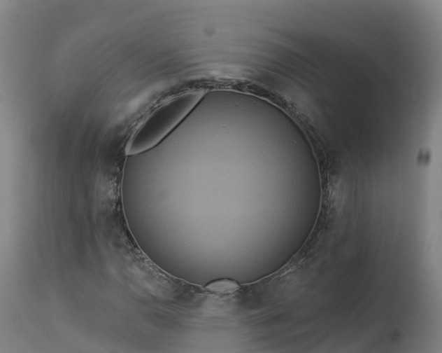 X0000112891110200908281654