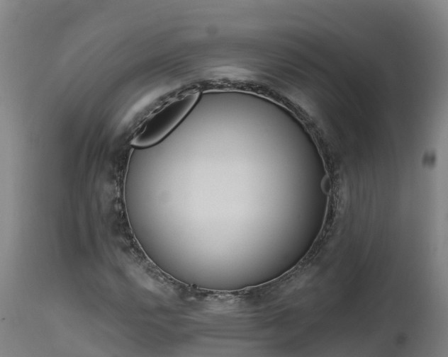 X0000112891112200908281654