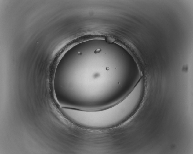 X0000112891114200908281654