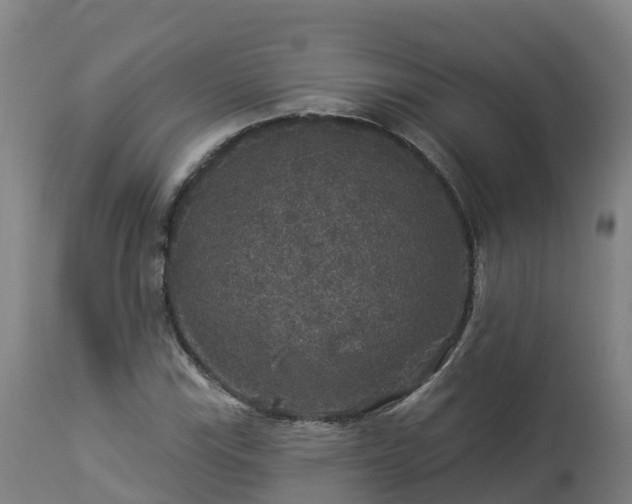 X0000112891115200908281654