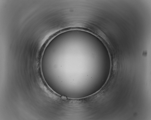 X0000112891116200908281654