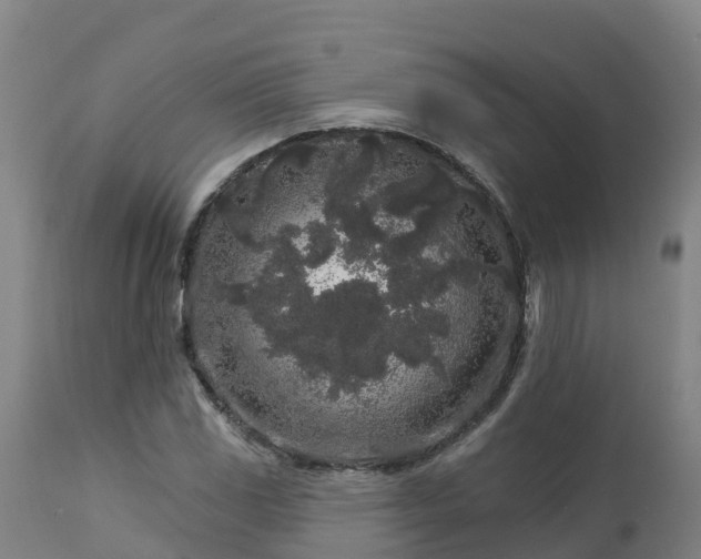 X0000112891117200908281654